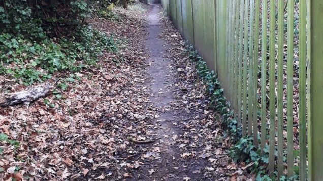 Elmdon Park - Lode Lane path prior to works, February 2019