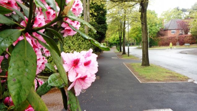 Looking back along Streetsbrook Road, April 2020