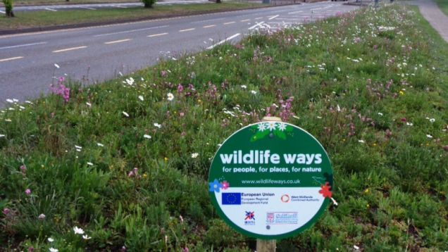 Wildlife Ways sign amidst new wildflower verge on Chelmsley Road, May 2020