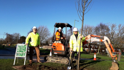 Tree Planting Green Lane