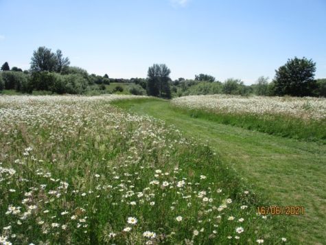 Babbs Mill