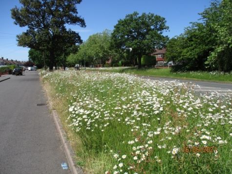 Chester Road