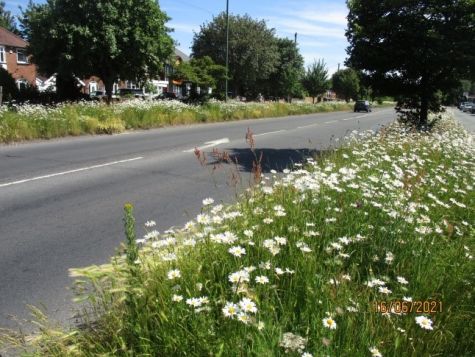 Hobbs Moat Road