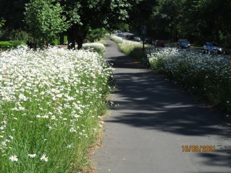 Hobbs Moat Road
