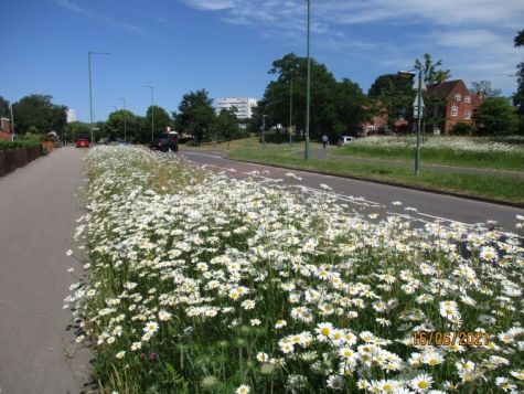 Moorend Avenue